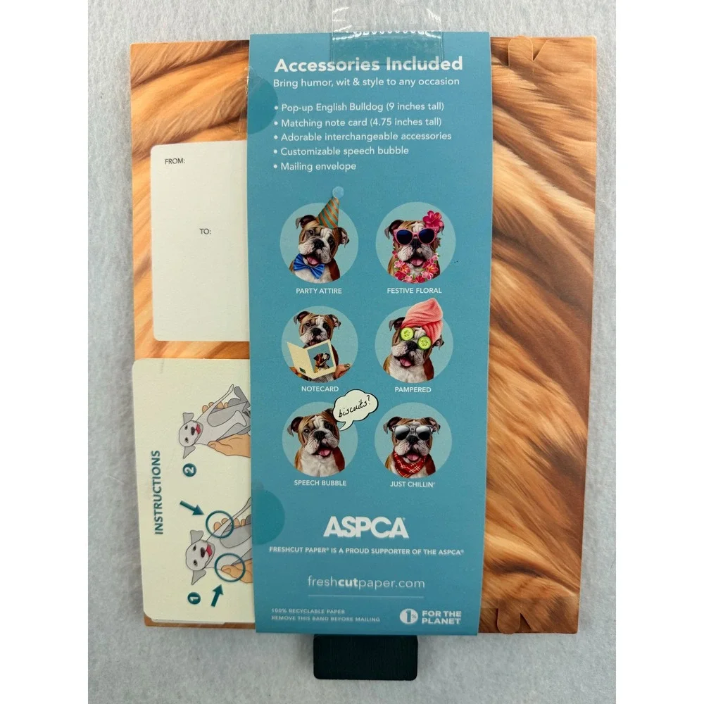 New Freshcut Paper English Bulldog Pop-Up Pup 3D Greeting Card with Accessories